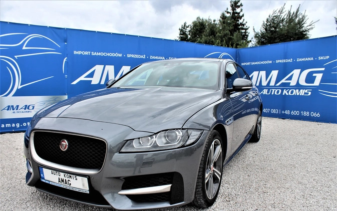Jaguar XF cena 117800 przebieg: 22000, rok produkcji 2018 z Nowy Targ małe 529